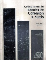 Critical Issues <em>in</em> Reduc<em>in</em>g the Corrosion <em>of</em> Steels Nikko