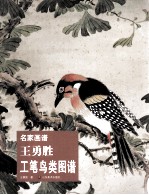 <em>王勇</em>胜工笔鸟类图谱  名家画谱