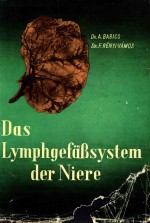 <em>D</em>AS LYMPHGEFASSYSTEM <em>D</em>ER NIERE UN<em>D</em> SE<em>IN</em>E BE<em>D</em>EUTUNG <em>IN</em> <em>D</em>ER NIERENPATHOLOGIE UN<em>D</em> CHIRURGIE