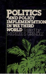 Politic<em>s </em>and policy implementation in the Third World