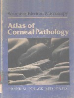 SCANNING ELECTRON <em>M</em>ICROSCOPY ATLAS OF CORNEAL PATHOLOGY