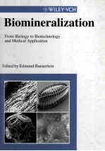 Biomineralization <em>From</em> Biology <em>to</em> Biotechnology and Medical Application