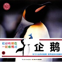 和动物朋友一起做游戏  11  企鹅