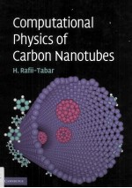 <em>COMPUTATIONAL</em> PHYSICS <em>OF</em> CARBON NANOTUBES