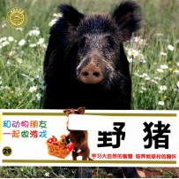 和动物朋友一起做游戏  29  野猪