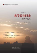 我等着你回来  <em>赵欣</em>小说选