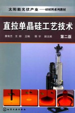 直拉单晶硅工艺技术  第2版
