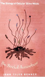 <em>THE</em> <em>SOCIAL</em> AMOEBAE <em>THE</em> BIOLOGY <em>OF</em> CELLULAR SLIME MOLDS