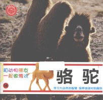 和动物朋友一起做游戏  14  骆驼