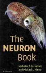 <em>The</em> NEURON Book
