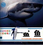 和动物朋友一起做游戏  17  鲨鱼
