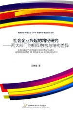 两大部门的相互融合与结构差异  社会企业兴起的路径研究