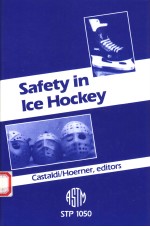 SAFETY IN I<em>C</em>E HO<em>C</em>KEY