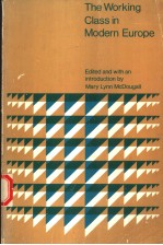 <em>THE</em> WORKING <em>CLASS</em> IN MODERN EUROPE