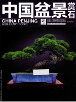 中国盆景赏石  2012.11