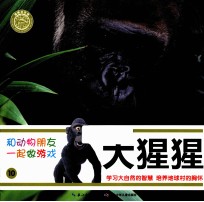 和动物朋友一起做游戏  10  大猩猩