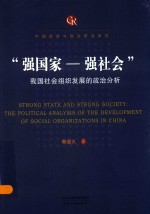 强国家-强社会  我国社会组织发展的政治分析