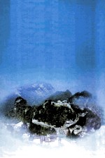 <em>十<em>堰市</em></em>创建国家卫生城市技术评估手册
