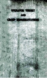 Report of an International Conference on Operator <em>Theory</em> and Group Representations
