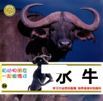 和动物朋友一起做游戏  26  水牛