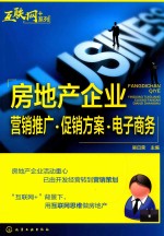 房地产企业营销推广  促销方案  电子商务