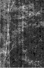 M<em>a</em>ryl<em>a</em>nd <em>in</em> The World W<em>a</em>r 1917-1919 <em>Volume</em> I <em>A</em>-J