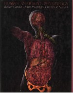 <em>HUMAN</em> <em>ANATOMY</em> AND <em>PHYSIOLOGY</em>