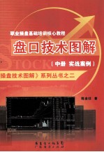 盘口技术图解  中  实战案例