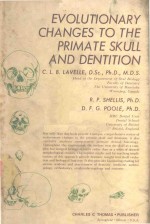 EVOLUTIONARY <em>C</em>HANGES TO THE PRIMATE SKULL AND DENTITION