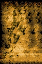 ア<em>メ<em>リカ</em></em>その日その日