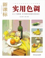 实用色调  新课标版