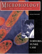 Microbiology <em>A</em>N <em>INTRODUCTION</em> Fifth <em>Edition</em>