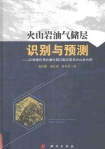 火山岩油气储层识别与预测