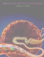 MOLE<em>C</em>ULAR AND <em>C</em>ELLULAR BIOLOGY