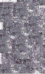 <em>ADVANCED</em> BIOPHYSICS