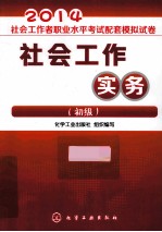 2014社会工作者职业水平考试配套模拟试卷  社会工作实务  初级