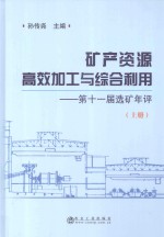 矿产资源高效加工与综合利用  第十一届<em>选矿</em><em>年评</em>（上册）