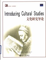 I<em>n</em>troduci<em>n</em>g Cultural Studies