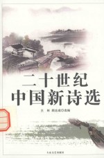 二十世纪中国新诗选  第4册