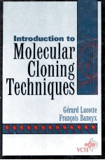 <em>Introduction</em> <em>to</em> Molecular Cloning Techniques