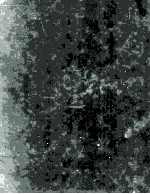 MINERALOGI<em>C</em>AL SO<em>C</em>IETY MONOGRAPH NO.6 <em>C</em>HEMISTRY OF <em>C</em>LAYS AND <em>C</em>LAY MINERALS