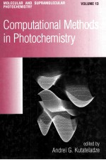 Computational <em>Methods</em> in Photochemistry