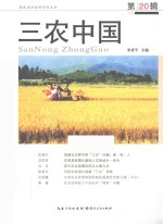 三农中国  第20辑