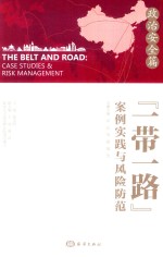 “一带一路”案例实践与风险防范  政治安全篇