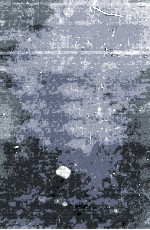 The Determ<em>in</em>ation <em>of</em> Hydrogen Ions Third <em>Edition</em>