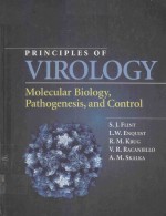 <em>PRINCIPLES</em> OF VIROLOGY MOLECULAR BIOLOGY PATHOGENESIS AND CONTROL
