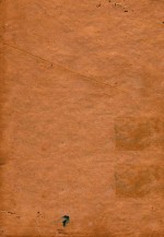 TUMOR<em>S</em> OF <em>THE</em> <em>S</em>TOMACH