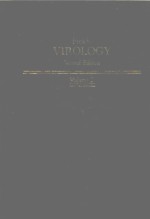 FIELDS VIROLOGY SECO<em>N</em>D EDITIO<em>N</em> VOLUME 2