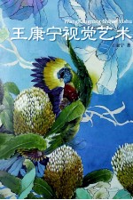 <em>王</em>康宁视觉艺术