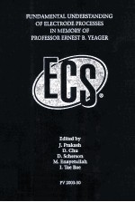 FUNDAMENTAL UNDERSTAND<em>IN</em>G <em>OF</em> ELECTRDE PROCESSES <em>IN</em> MEMORY <em>OF</em> PR<em>OF</em>ESSOR ERNEST B.YEAGER